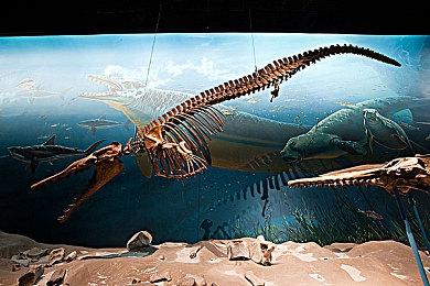 《GT赛车7》升级档加入五辆新车 玩家动手揭开谜团